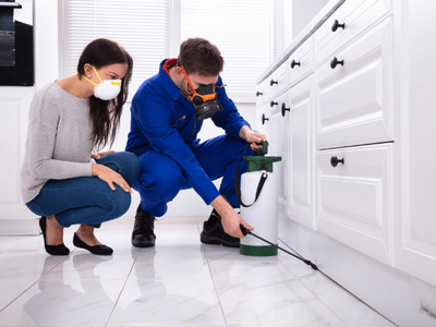 About Monthly Mosquito Treatment Plans Goodyear - monthly mosquito treatment plans experts in Goodyear