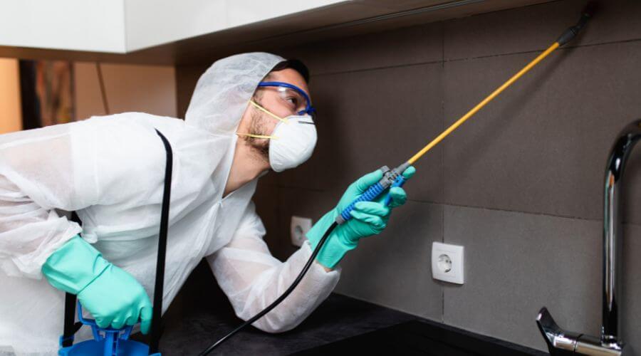 Why choose Monthly Mosquito Treatment Plans Goodyear for monthly mosquito treatment plans in Goodyear